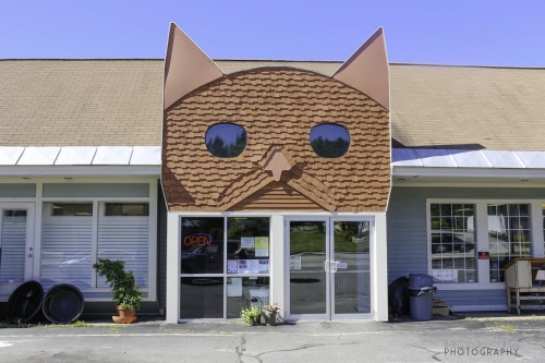 about us dogs cats pet food birds reptiles fish about us dogs cats pet food birds reptiles fish